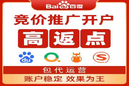 百度竞价排名服务：成功案例解析与优化策略